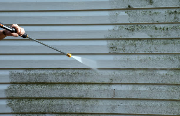 Best Driveway Pressure Washing  in La Mirada, CA